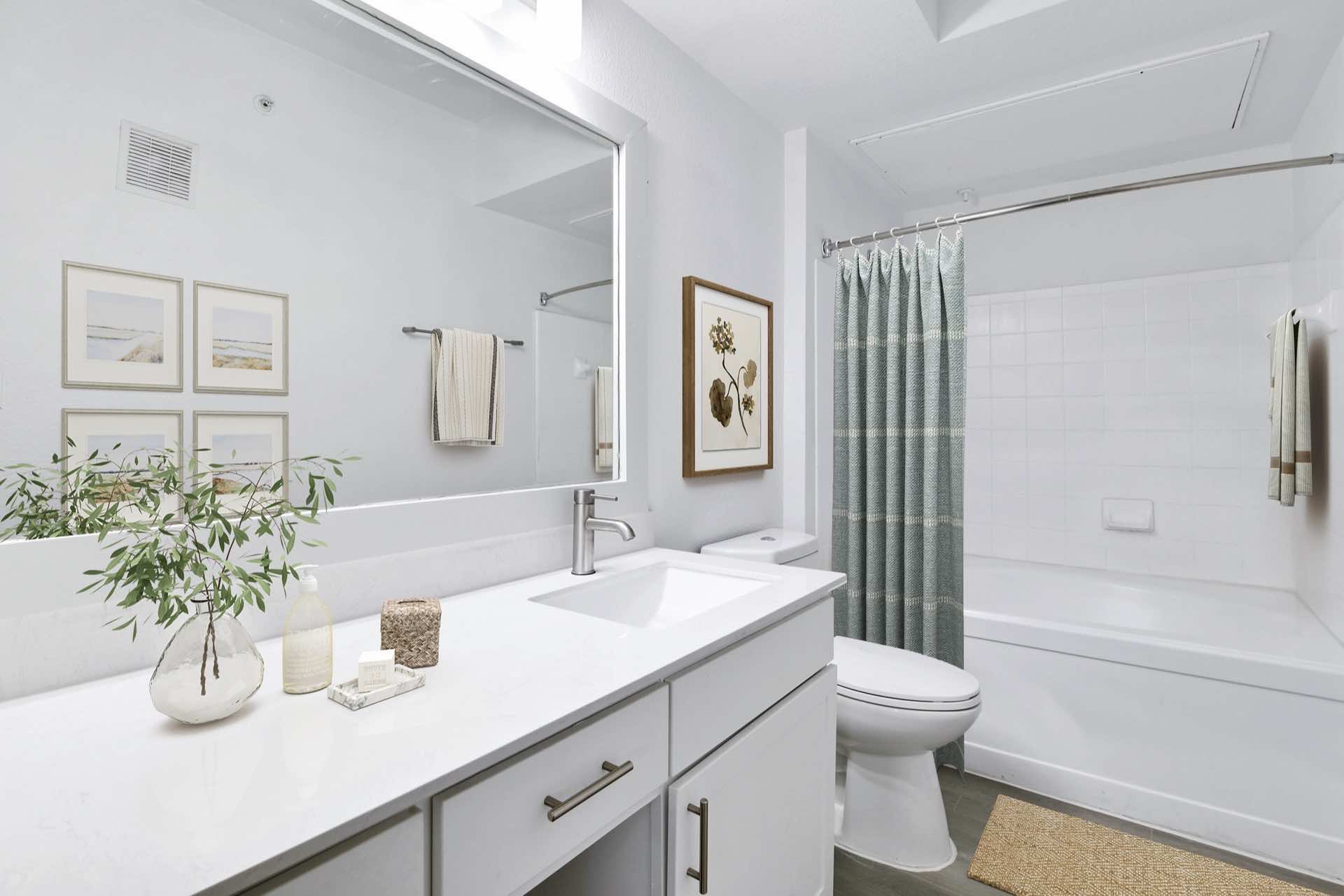 Bathroom with shower/tub combo and large bathroom counter